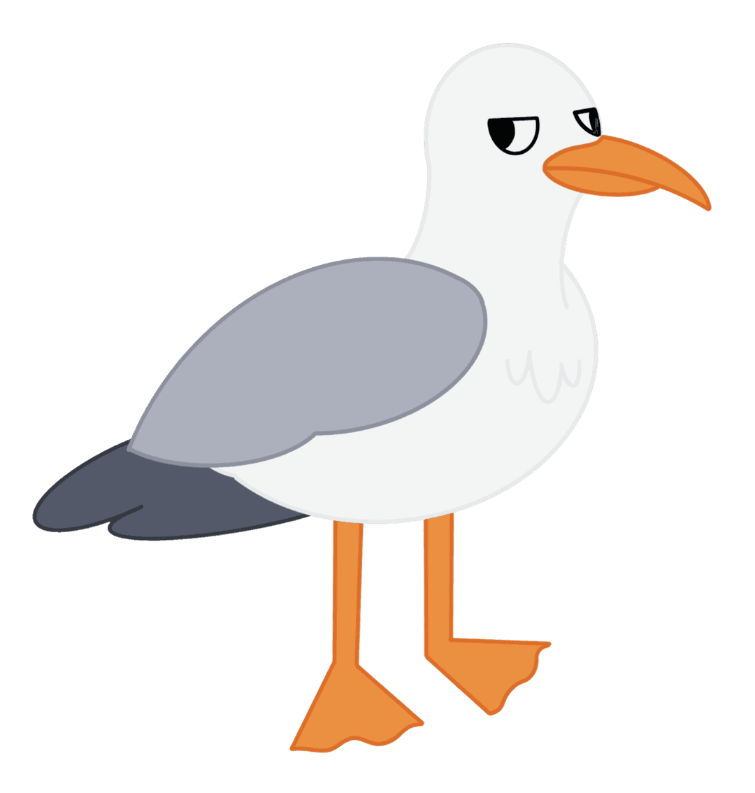 Seagull illustration